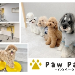 【盛岡市大沢川原】PawPark盛岡 犬のようちえん 盛岡店