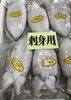 「魚魚市場鮮魚コーナーおすすめは「アジ」です♪」