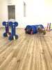 ハッピーちゃんに驚くＧrｏくん(笑)「ましゅまろ幼稚園　^ - ^」