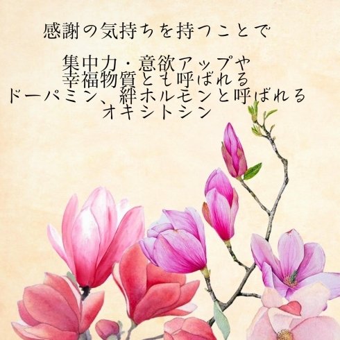 「感謝と幸せの法則。斐川町　仏壇」