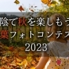 山陰で秋を楽しもう！紅葉フォトコンテスト2023