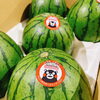 「熊本県産　小玉すいか」
