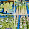 「赤色スイートコーン『大和ルージュ』入荷しました！道の駅木曽福島」
