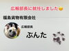 「ご報告(´∀｀*)」