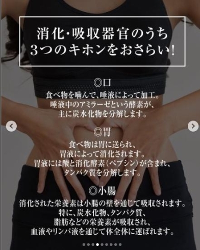 暑い日こそ意識を「暑い日こそ意識を！消化吸収の基本を再確認！」