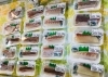 「魚魚市場鮮魚コーナーおすすめは「地ダコ・マングローブガニ」です♪」