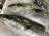 「魚魚市場鮮魚コーナーおすすめは「キンメダイ・地タコ」です♪」
