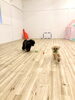 ボール、フリスビー遊び「ましゅまろ幼稚園」