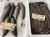 子持ちヤリイカが入荷しました 横田鮮魚店のニュース まいぷれ 小樽市 子持ちヤリイカが入荷しました 横田鮮魚店のニュース まいぷれ 小樽市