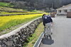 にいみアイチャンネルが取材に来てくださいました。「菜の花が一段と黄色くなり、見ごろとなりました。」