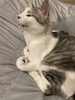 〜♡「奇跡的に撮れたるい君の=^._.^= ∫」