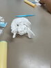 制作中の作品！「粘土制作をしました🎨🐰【札幌市北区児童デイサービスこぱんはうすさくら札幌太平教室】」