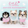 「ene☆11th ANNIVERSARYスタイが登場💗」