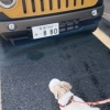 車大好き！！「可愛いわんちゃんのご来店！」