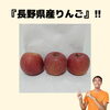 福井県　坂井市　三国町　長野県　りんご「患者様から『長野県産りんご』をいただきました【福井/坂井市/まつい整骨院/神経の整体/腰痛/膝痛/アトピー性皮膚炎】」