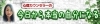 心理カウンセラーの　「今日から本当の自分になる」
