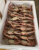 「ハラコ販売中でーす‼️鮮魚パックいろいろ販売中‼️〆鯖も販売致します🐳」