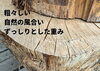 「荒々しい木の輪切りが、存在感を放つ｜Nor.t.h」