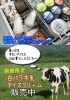 白バラ牛乳ing バレエシューズ23.5 美品&コンバース 販売20年以上のロングセラーも！白バラ牛乳でおなじみ大山乳業