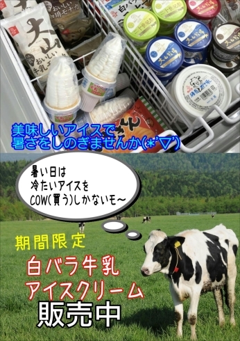 「厳選スイーツ＆白バラ牛乳アイス販売中(^^♪」