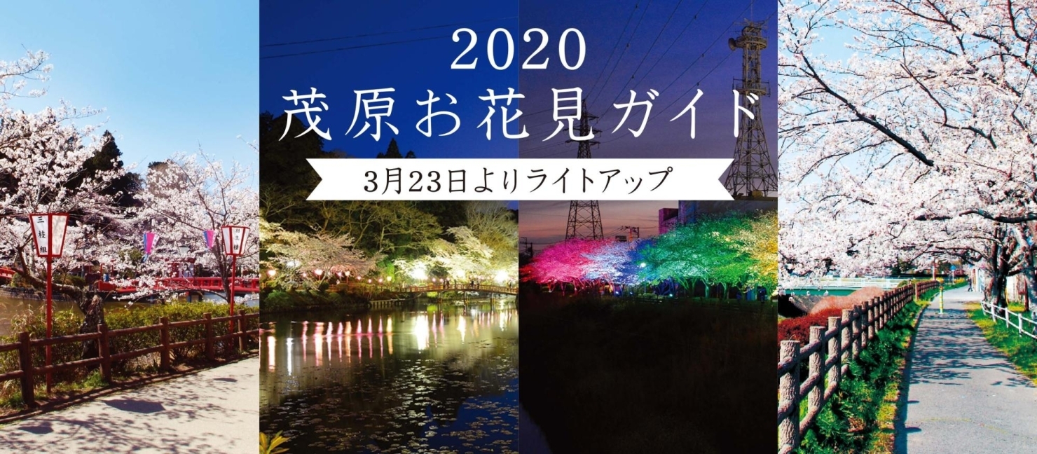 茂原お花見ガイド2020