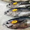 「魚魚市場鮮魚コーナーおすすめは「ツキヒ貝・アジ特価‼︎」です♪」