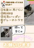 「【愛媛県新居浜市】里親募集のお知らせ！」