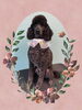 「Dog salon mofu mofu　余市町」