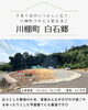 「NEW🏠土地情報！」