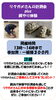 「 【週末イベント情報】水族館で体験学習！オオサンショウウオやリクガメを測ってみよう」