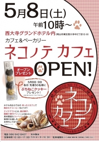 ネコノテカフェ5月8日open ネコノテカフェのニュース まいぷれ 岡山市東区 瀬戸内市 ネコノテカフェ5月8日open ネコノテカフェのニュース まいぷれ 岡山市東区 瀬戸内市