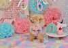 ん～　(*´ω｀)「Anniversary photo　(^O^)／」