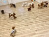 わーい💨「ましゅまろ幼稚園🐾」