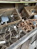 流木、自然石「流木、自然石入荷」