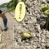 幸せ大豆日記パート2☆『豆腐工房 うえ田』さん♪♪【京都市西京区 大原野】