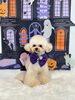 ルークくん「Happy Halloween 2026🎃」