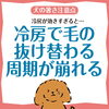 周期が崩れる「【愛犬】冷房の効きすぎで毛の抜け替わる周期が狂う？！」