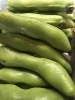 そら豆もまだまだ有り〼！こちらは炙りで♪「新潟初夏の味☆彡 」