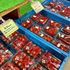 「直売所では『いちご』の種類が豊富でお買得！」