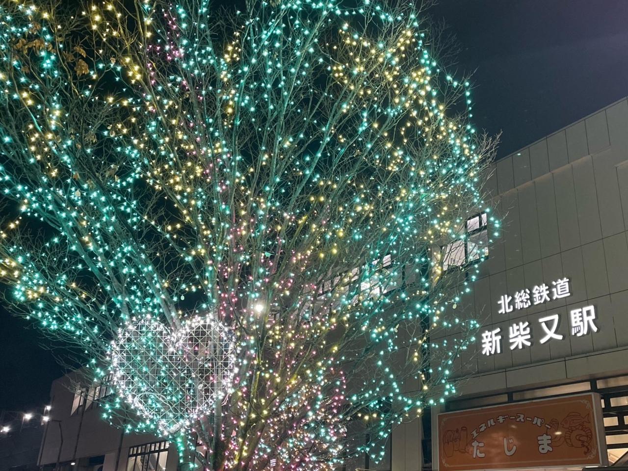 葛飾区のおすすめイルミネーション 21 22 葛飾のおすすめおでかけ情報まとめ まいぷれ 葛飾区 葛飾区のおすすめイルミネーション 21 22 葛飾のおすすめおでかけ情報まとめ まいぷれ 葛飾区