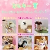 「第5回わんわんフォトコンテスト結果発表♪」