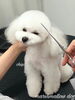 「冬のオプションキャンペーン　^ - ^」