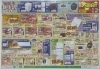 1月号販促チラシご案内「令和7年1月号初売り販促チラシご案内」