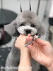 「秋のオプションキャンペーン　^o^」