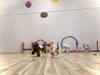 それ〜っ　走るよぉ〜「ましゅまろ幼稚園」