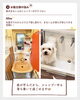 愛犬も快適！家族にやさしい洗面台へ「＼愛犬も快適！家族にやさしい洗面台へ／ 🐶✨」