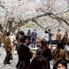 「入学式」