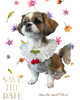 「Dog salon mofu mofu　余市町」