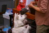「今日のお友達」
