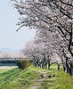 「桜の季節は心と体のメンテナンス日和🌸」